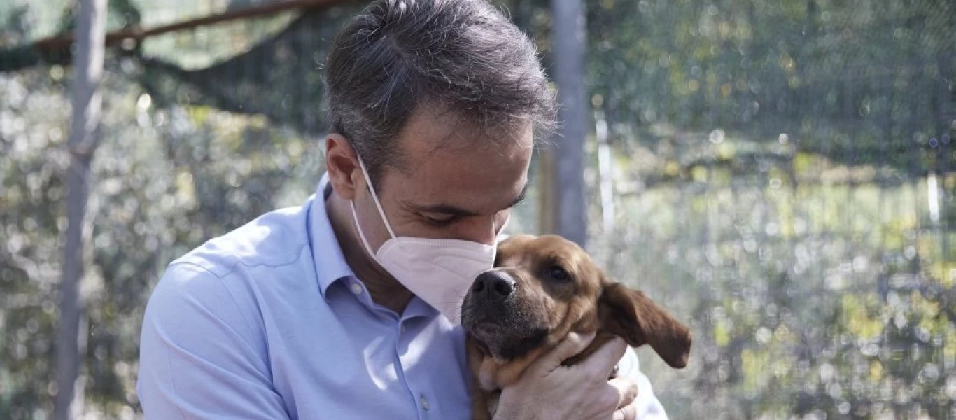 Ο Κ.Μητσοτάκης για τον νέο του σκύλο: «Δεν τον διάλεξα εγώ αλλά εκείνος» (φώτο)